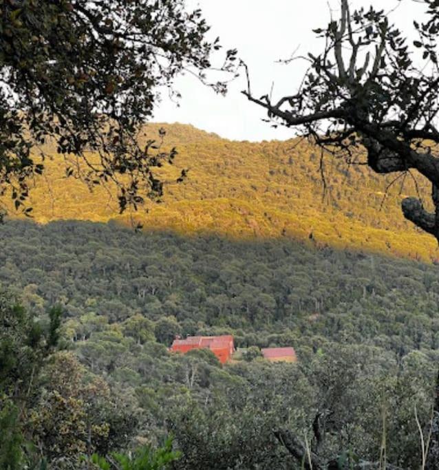 Masia Can Castellar Sant Iscle De Vallalta Exterior photo
